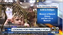 Weekend freebies: Museums, ballet classes and more