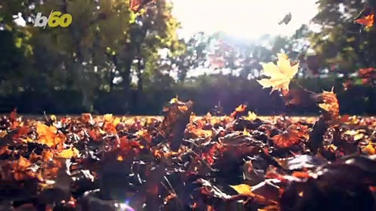 5 Must-Do Tasks to Get Your Home Ready for Fall