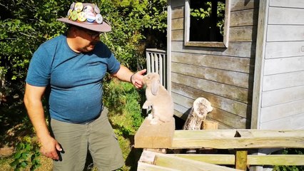 Richard l'homme qui murmure à l'oreille des lapins