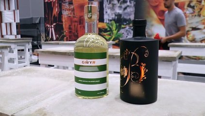 Gin To My Tonic Show