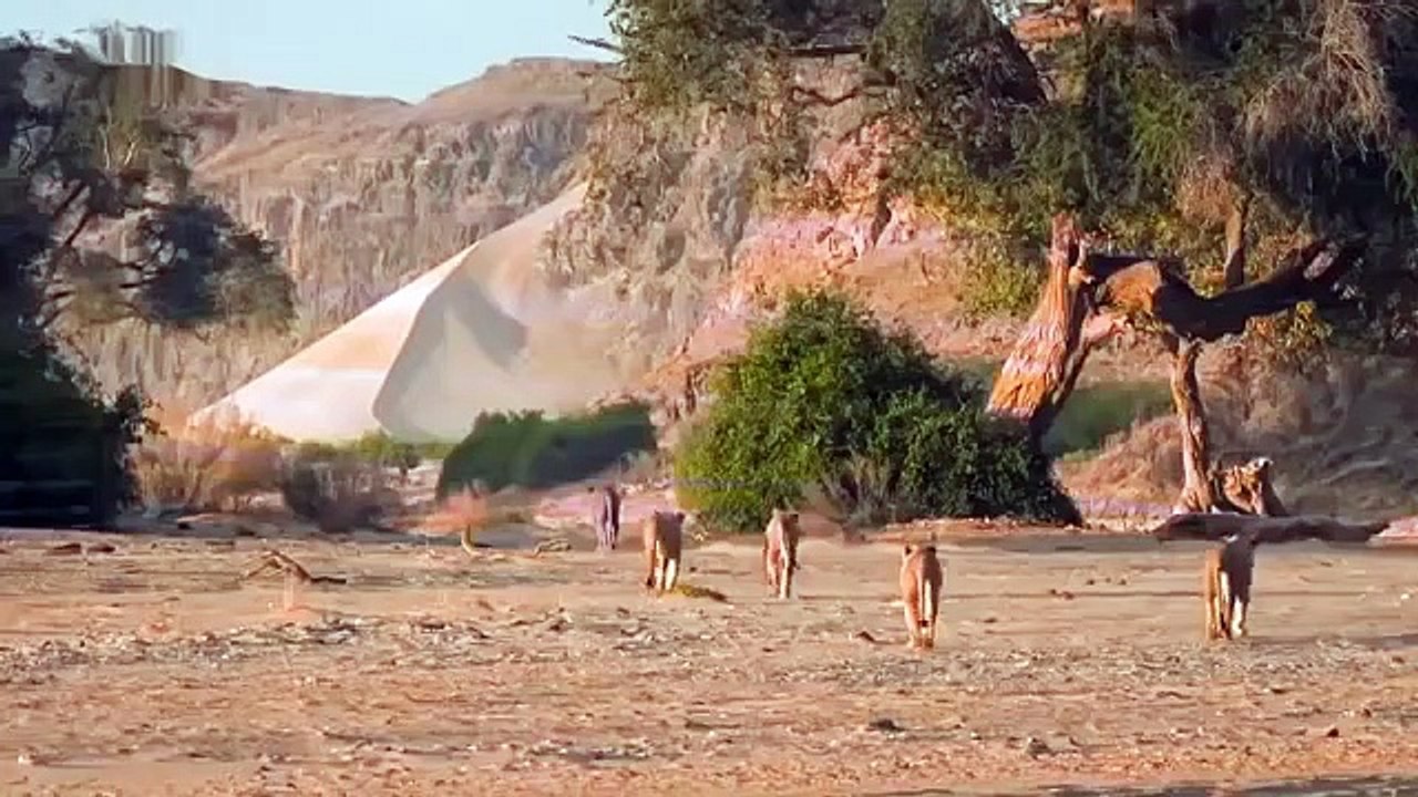 Let Us In Discovery Lion VS Giraffe In The Wild - Most Amazing Moments Of The Wild Animal Fights-fq8DV5DOhJU