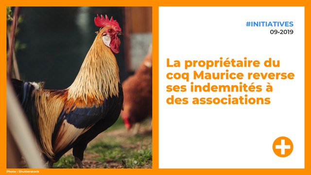 La propriétaire du coq Maurice reverse ses indemnités à des associations