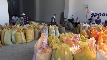 TZOB Yönetim Kurulu Üyesi Arslan Soydan: 'TMO'nun ödemeye başladığı paralar, fındık üreticileri için oldukça önemli'