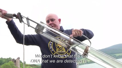 No evidence of monster in Loch Ness says scientists