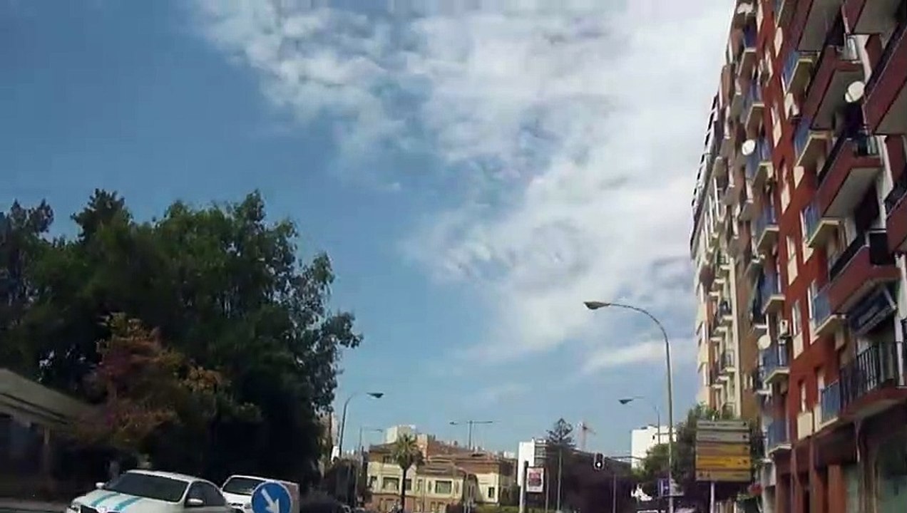 2019-08-29 Mañana ponzoñosa, día harpeero y algunos chemtrails