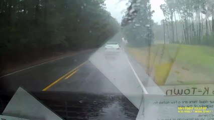 Effrayant : un tronc d'arbre tombe juste devant cette voiture