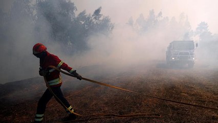 Le Portugal en proie aux flammes