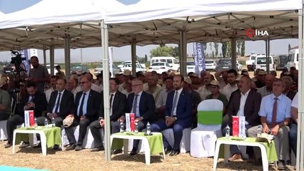 Gübretaş, Niğde'de hasat günü etkinliği düzenledi