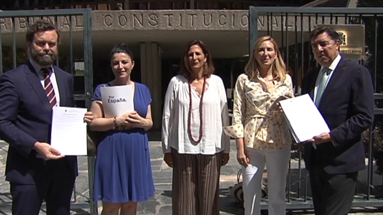 El TC admite los recursos contra las leyes de abusos policiales