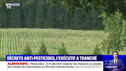 Pesticides: entre 5 et 10 mètres minimum devront séparer les maisons ou les écoles des champs