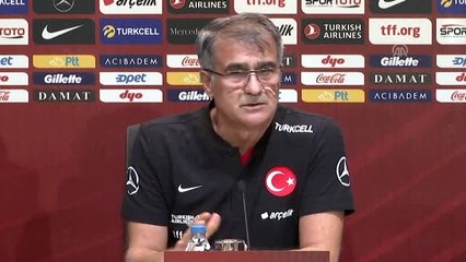 A Milli Futbol Takımı Teknik Direktörü Güneş (2)