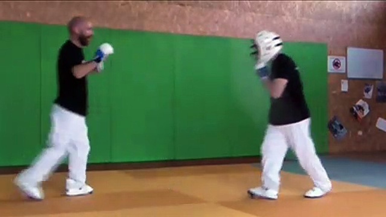 mawashi geri assaut a theme