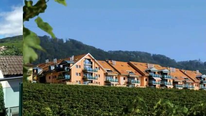 A louer - Appartement - Mont-sur-Rolle (1185) - 3.5 pièces - 189m²