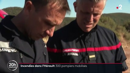 Hérault : 300 pompiers mobilisés contre le feu