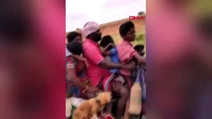 Dha dış ' bir motosiklet' üstünde 7 kişi, 2 köpek, eşyalar