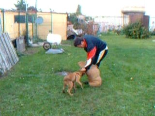 Braggy du Domaine des petits Duc