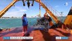 Environnement : des récifs en 3D au Cap d'Agde pour favoriser la biodiversité