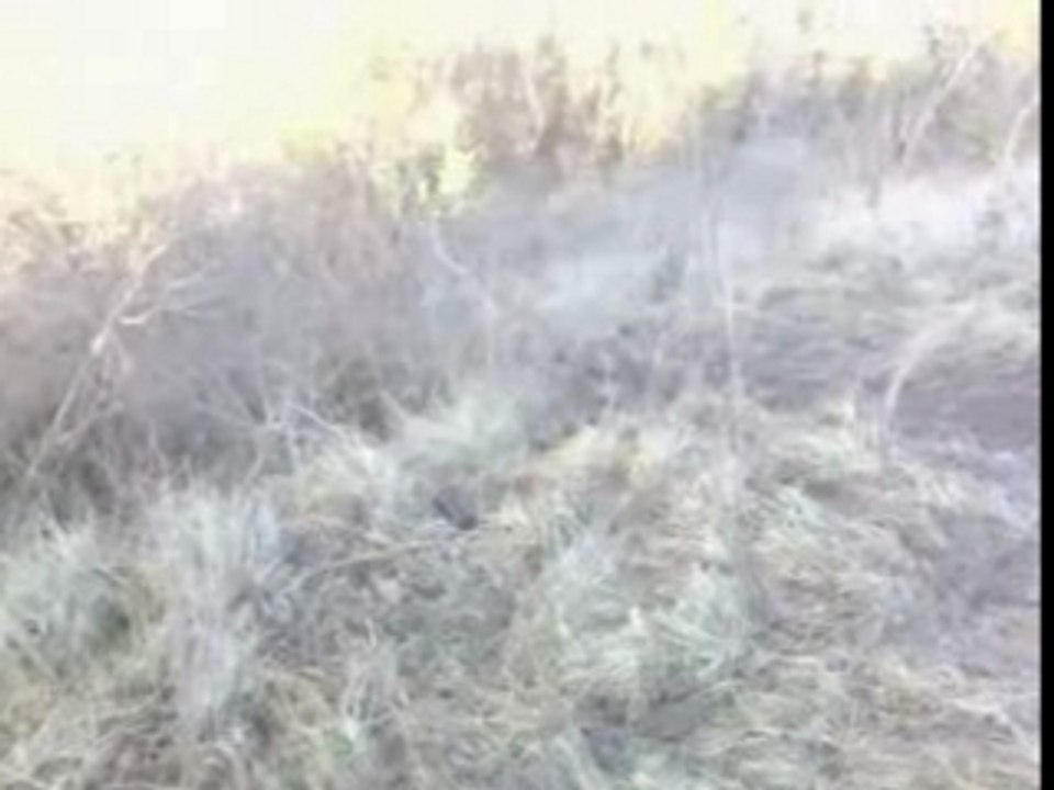 enduro Moi; une cote de merde