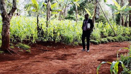 Jugement Dernier S01 Ep.07