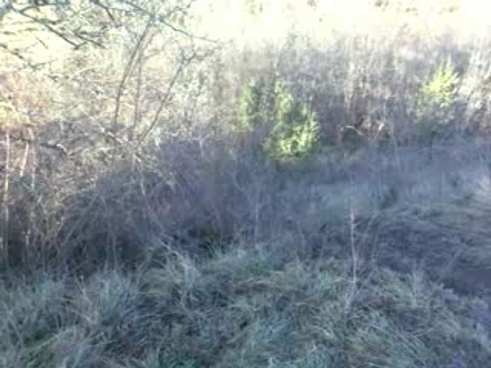 enduro David toujours la cote de merde