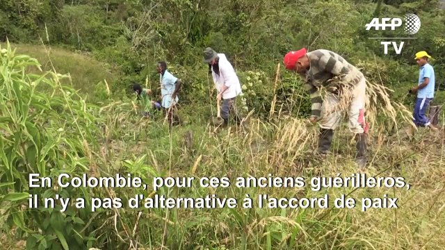 En Colombie, d'ex-rebelles FARC défendent le processus de paix