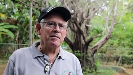 Zoológico de Nicaragua recibe a su primer hipopótamo