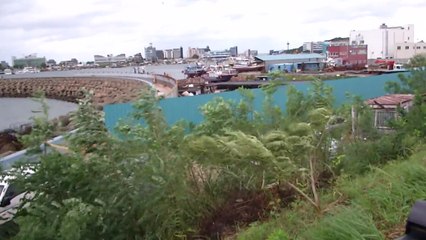 [태풍 경로] 전북 바람 강해져...9시쯤 군산 앞바다 통과 / YTN