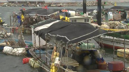 태풍 군산 앞바다 통과 중...바람 강해져 / YTN