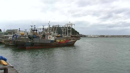 태풍 서해 따라 북상...충남도 긴장 고조 / YTN