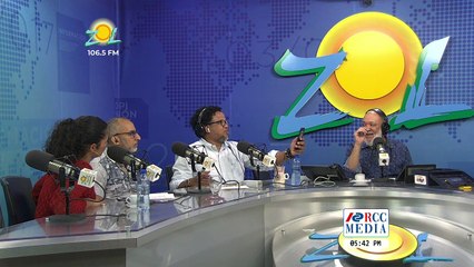 Definicion de Deshollinador en RD y la música que se escucha en Elmismogolpe parte2