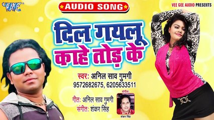 Dil Gailu Kahe Tod Ke - Hum Tora Chahu Dilo Jaan Se-Anil Saw Gumgi