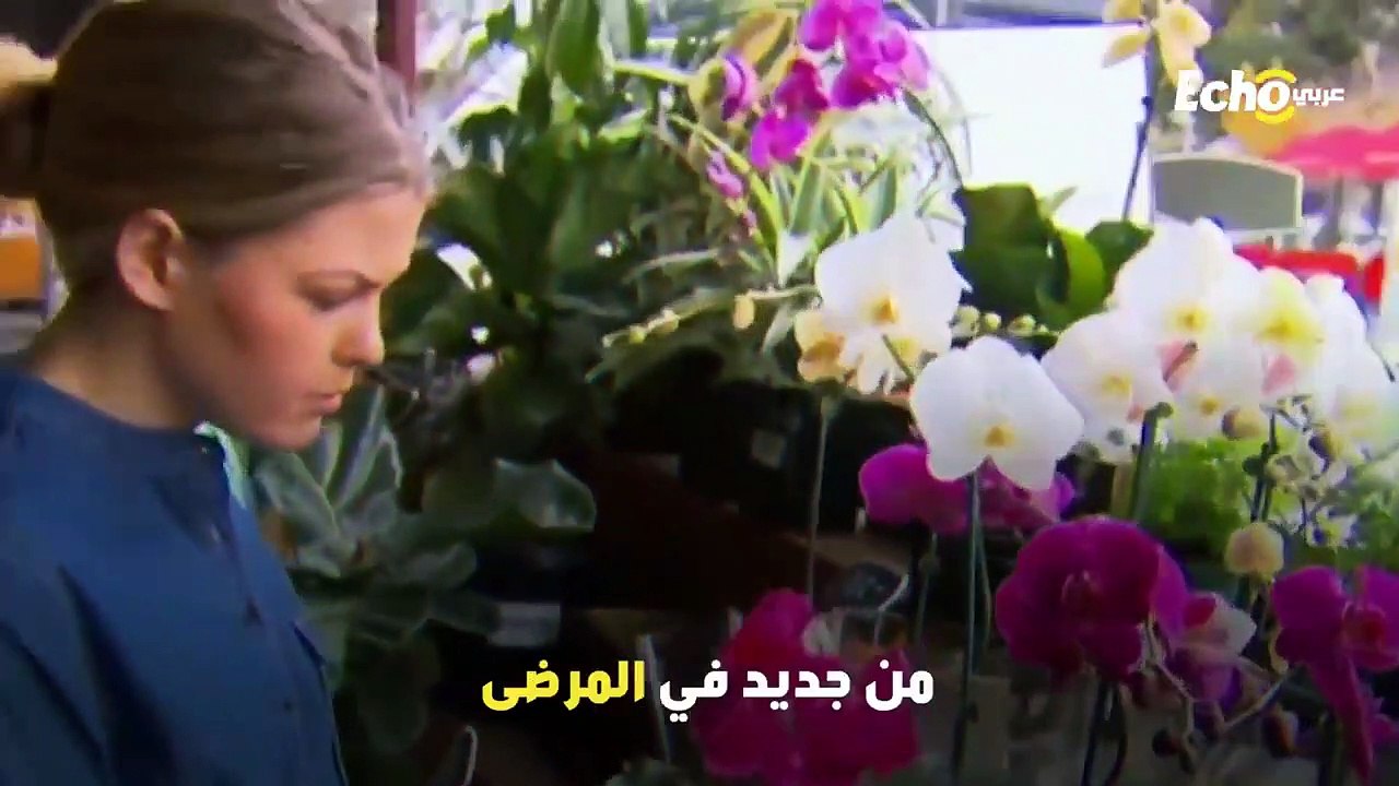 تفاصيل صادمة ومفاجأت كارثية حول الشابة التي قهرت السرطان دون علاج وأشعلت مواقع ا