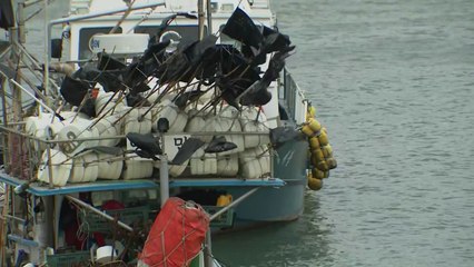 인천 여전히 태풍 영향권, 비바람 거세 / YTN