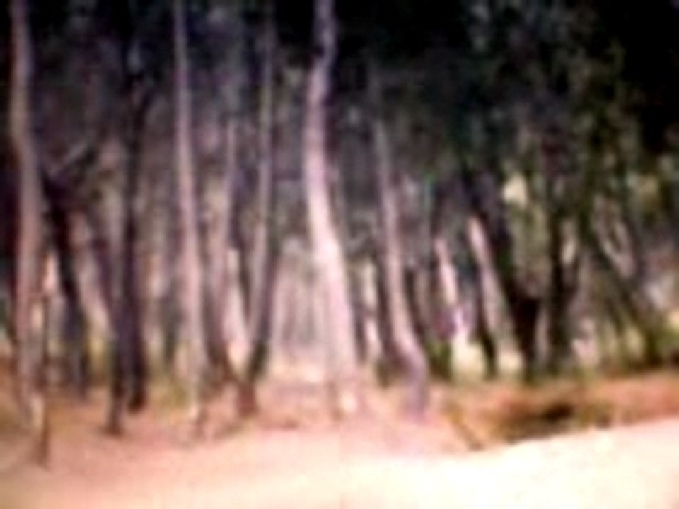 Vidéo-0017