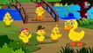 Five Little Ducks Nursery Rhyme With Lyrics - Cartoon Animated Rhymes & Songs