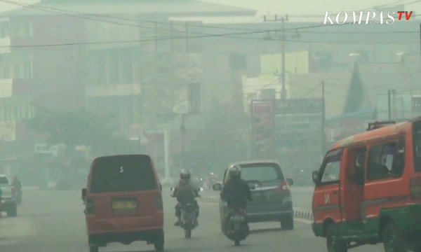 Kebakaran Lahan Gambut Meluas, Warga Palangkaraya Terserang ISPA