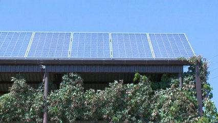 الطريق الصعب نحو الاقتصاد الأخضر في أرمينيا