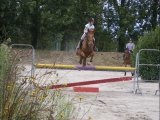 Elles .. plus que parfaites ! (L)