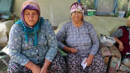 Bolluk ve bereketin simgesi: Aşure (1) - KIRKLARELİ