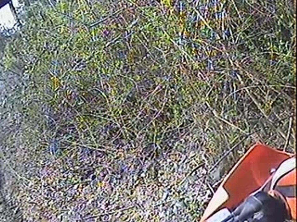 VID0036