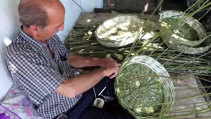 Söğüt ağacı dalları geçim kaynağı oldu