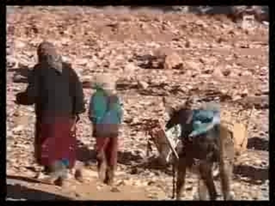 Faut pas rever Maroc de l' Atlas a' l' Atlantique