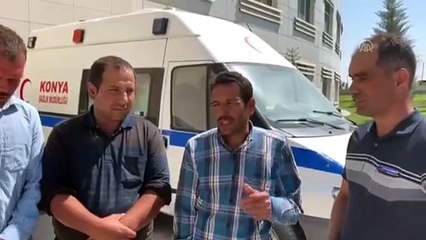 Arılar tarım işçilerine saldırdı - KONYA