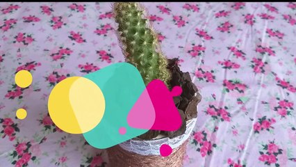 Do Lixo Ao Uso, Transformando Latinhas de Conservas em Um Lindo Artesanato