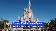 Don't Wear Your Costumes At Disney Parks