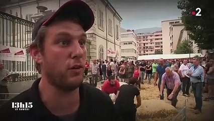 Tout le territoire français pourrait être colonisé par le loup dans les prochaines années