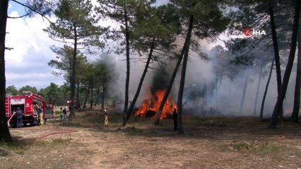 Arnavutköy’de Ormanlık Alanlık Alanda Yangın