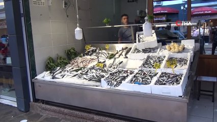 Sezonun ilk palamutları tezgahlarda