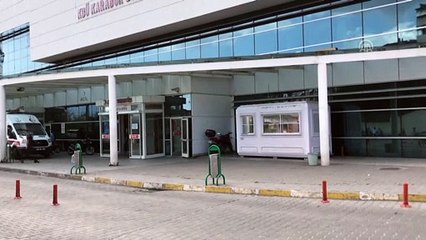 Ayının saldırdığı kişiyi köpekler kurtardı - KARABÜK