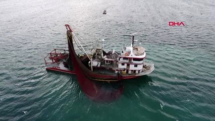 Sinop-karadeniz'de sezonun ilk palamutları tezgaha düştü
